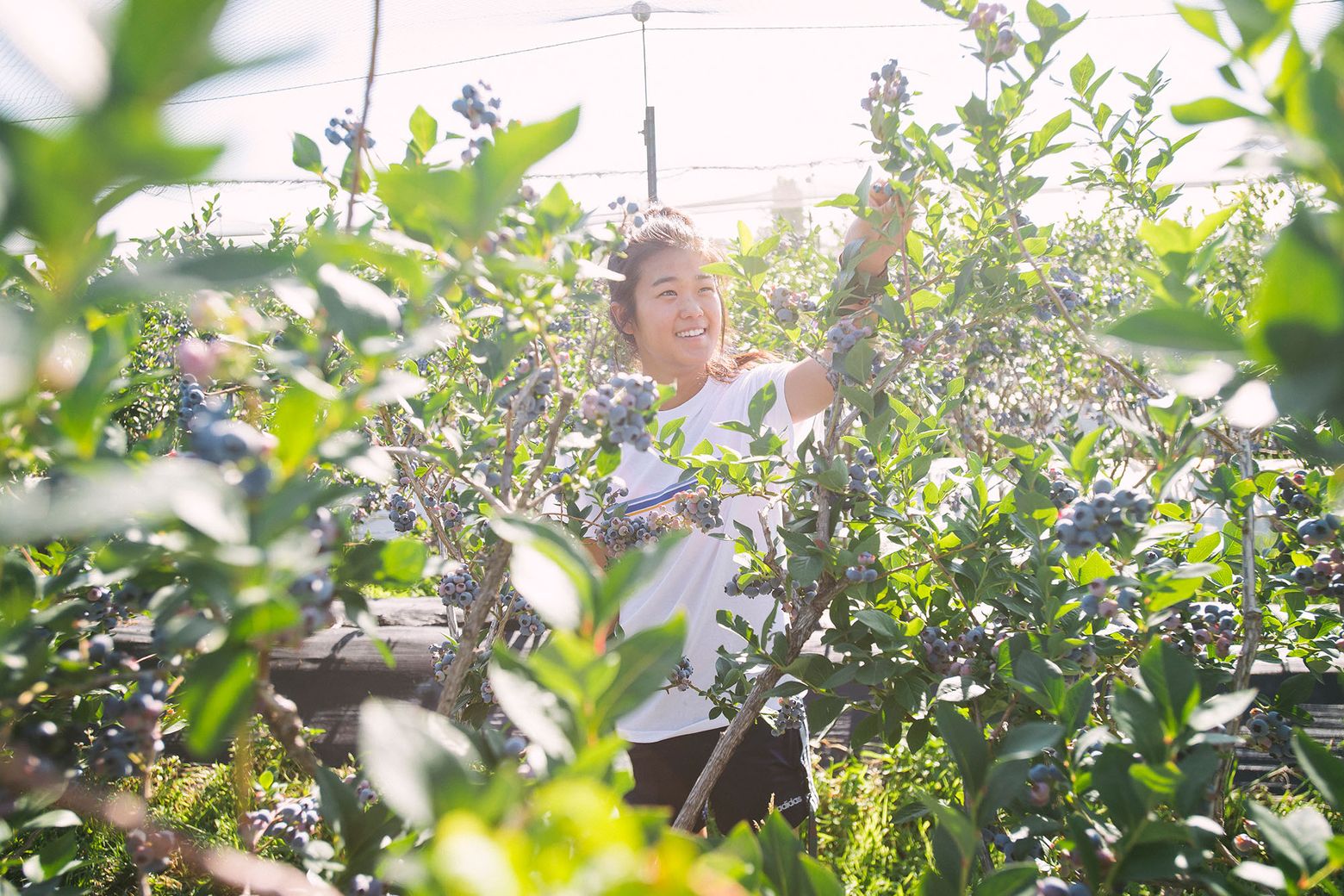 Local farm offers fresh produce picked the day you get it