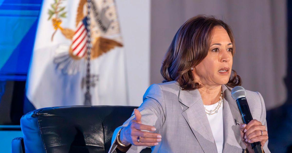 Harris targets Florida rules on Black history pushed by DeSantis Photo