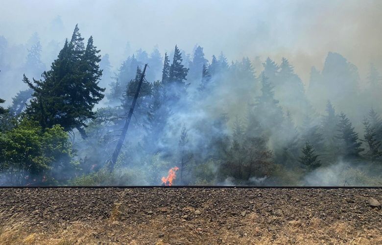A fire near Milepost 61 on State Route 14. Multiple fire resources responded, including Skamania County Fire District 3, Skamania County Fire District 1, Klickitat County Fire District 3, White Salmon Fire, Department of Natural Resources, and United States Forest Service. Air assets were deployed, utilizing both water and fire retardant. Skamania County Sheriffâ€™s Office sent a reverse 911 call to residents in the area for evacuation. Law enforcement personnel also went door to door to assist in evacuation measures. At this time, the fire is not contained and has been deemed a Type II incident. An estimated 125 acres and several homes have been affected at the time of this release.