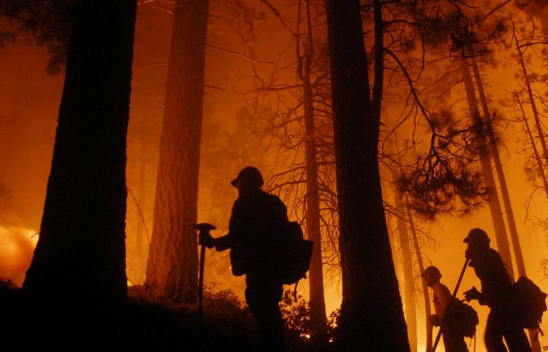 Firefighters watch a prescribed burn at the fire line while fighting a fire in South Lake Tahoe, California on Sunday, June 24, 2007.  (Autumn Cruz/Sacramento Bee/MCT) 1045721