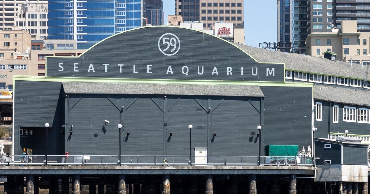 Seattle Aquarium receives 1M Murdock trust grant for expansion project