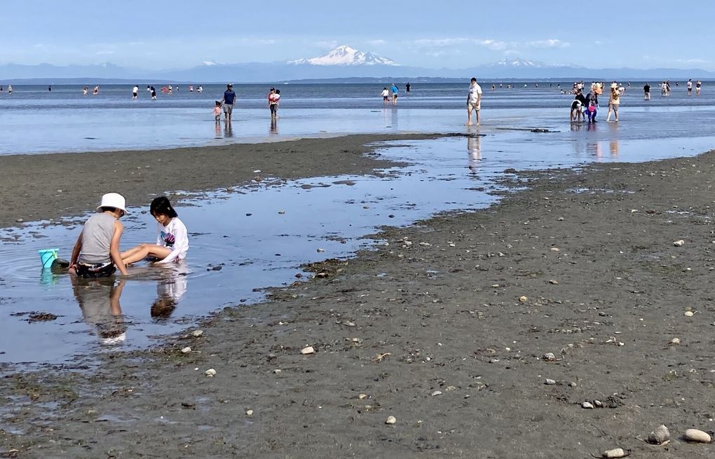 White Rock, Beach Town, Seaside Resort, Marine City