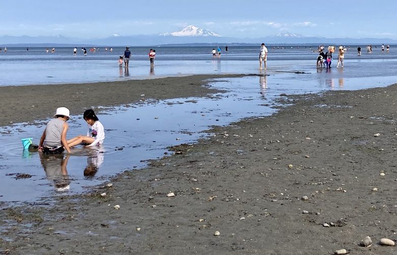 Impressive tidal swings along Boundary Bay reveal vast swaths of beach at low tide, making spots like Centennial Beach in Delta, B.C. especially popular for families with young children.