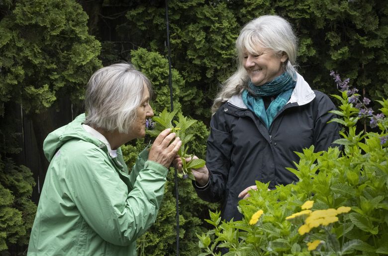 When mental health therapy starts in the garden