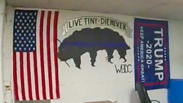 Trump and American flags around a tardegaard wall painting