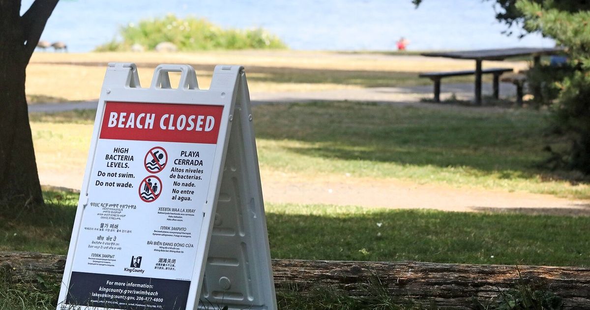 No More Swimming At Matthews Beach This Summer Due To Bacteria Levels 