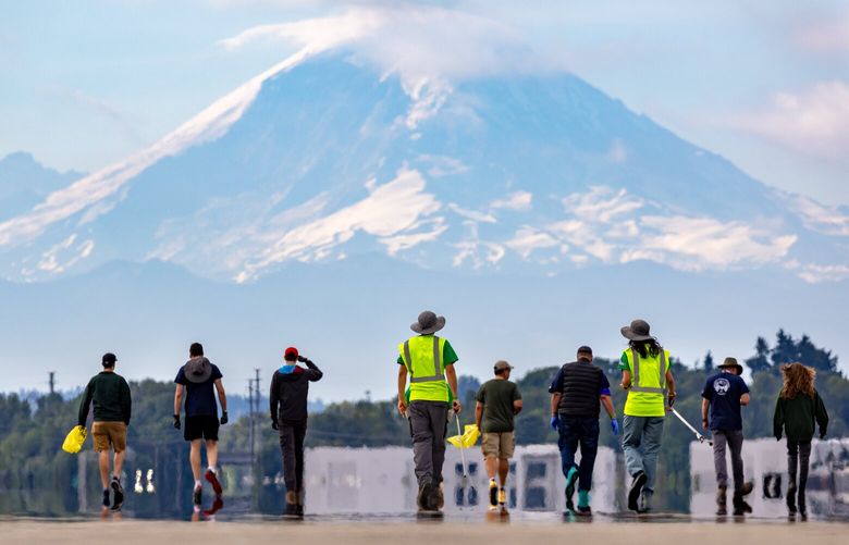 Mount Rainier looms in the background as volunteers walk down King County International Airport’s main (14R/32L) runway during the 3rd annual FOD Walk Saturday, July 22, 2023. Community members, airport employees and the general aviation community were invited to participate in the event to clear “foreign object debris” from the runway at Boeing Field. FOD is normally small objects that can be ingested or blown by an aircraft’s engines. The airport runs FOD checks on the runways multiple times a day from vehicles but people on foot moving much more slowly can spot more debris easier serving as a deep clean. This year 138 people, split into two different groups, each walked half the length of the runway under partly cloudy skies and cool temperatures.  224448