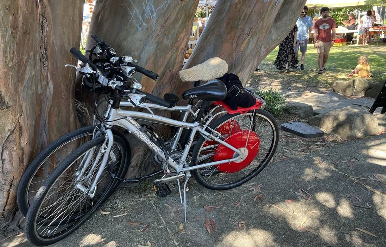 The author’s e-bikes parked at the farmers market on Vashon Island.