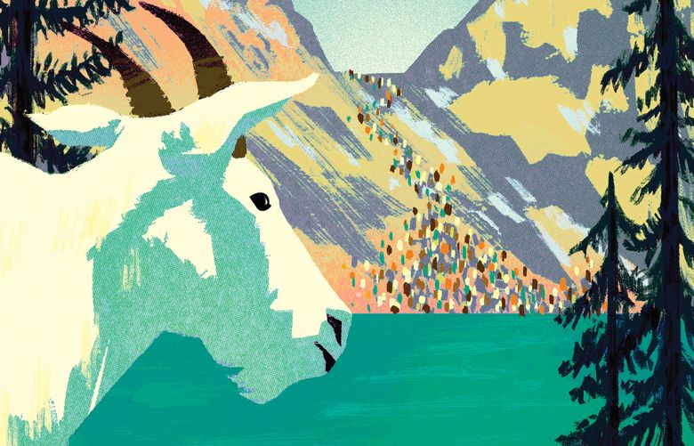 (Jennifer Luxton / The Seattle Times)