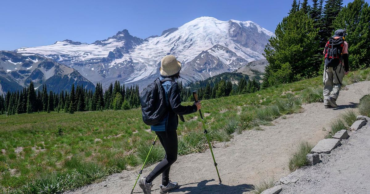 LOCAL PNW NEWS visual data 7