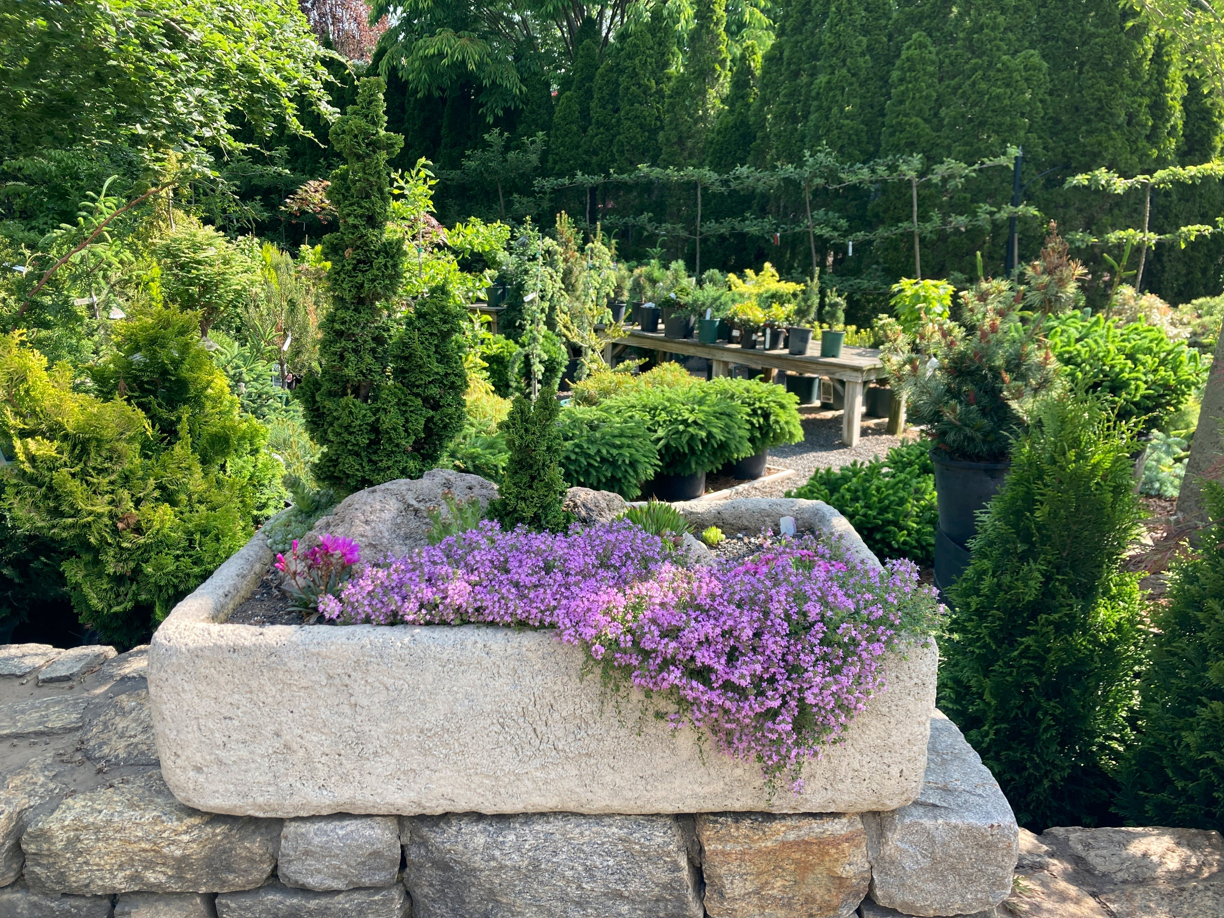 This teeny, tiny garden will draw a big crowd | The Seattle Times