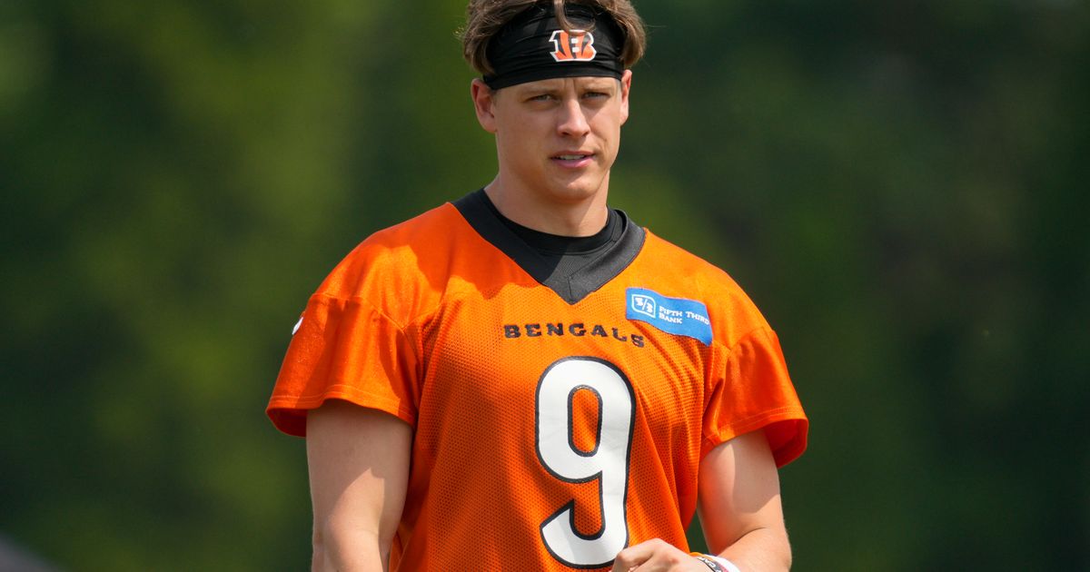 Joe Burrow apologizes to Bengals fans in tweet after Super Bowl