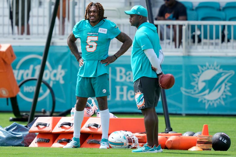 dolphins practice tickets