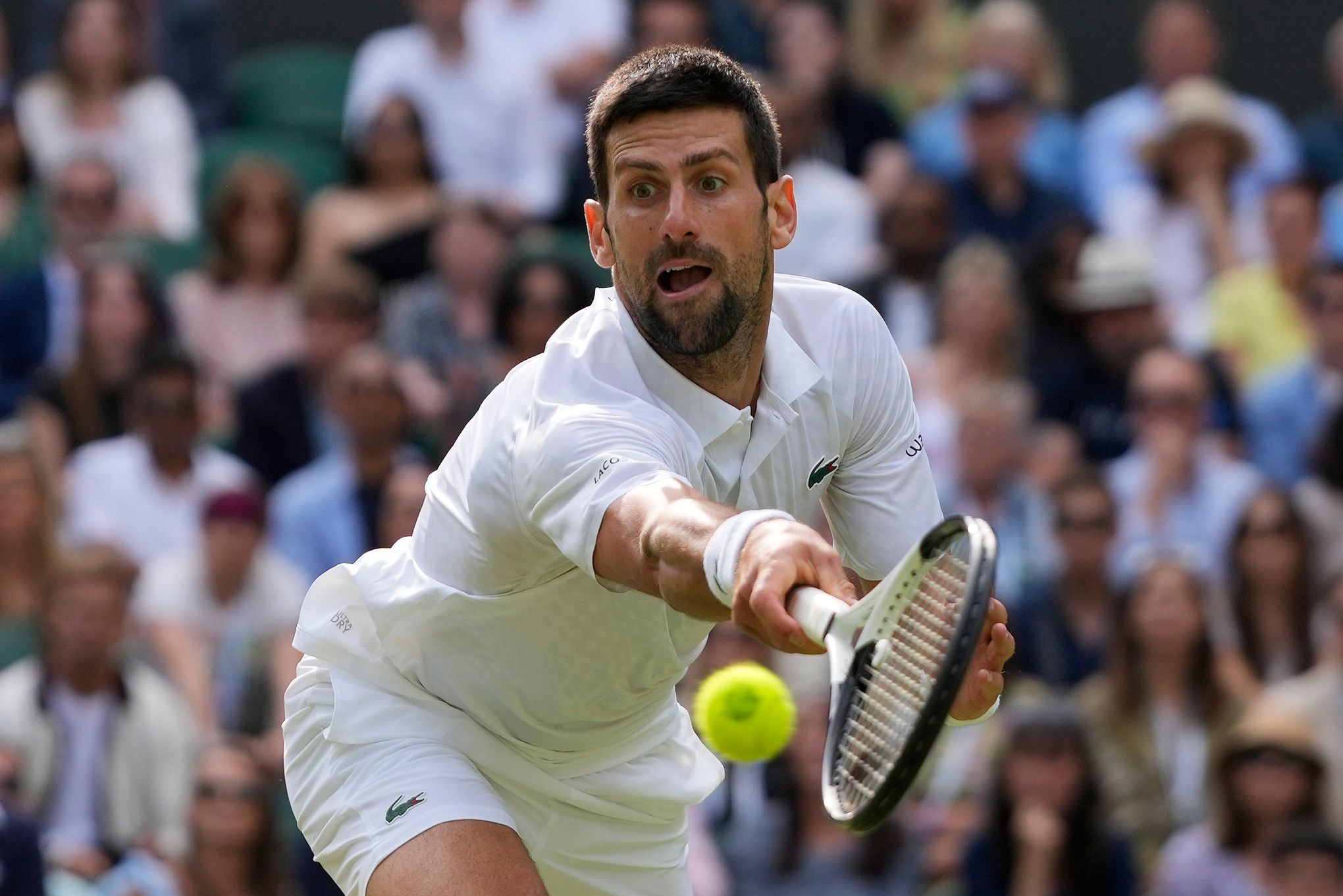 Wimbledon final 2023: Tie-break record gives Djokovic mental edge over  Alcaraz