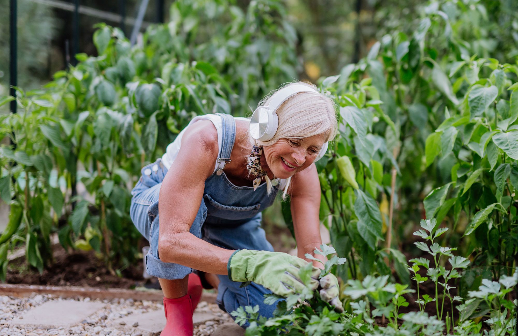 Gardening is hard work. Music can help | The Seattle Times