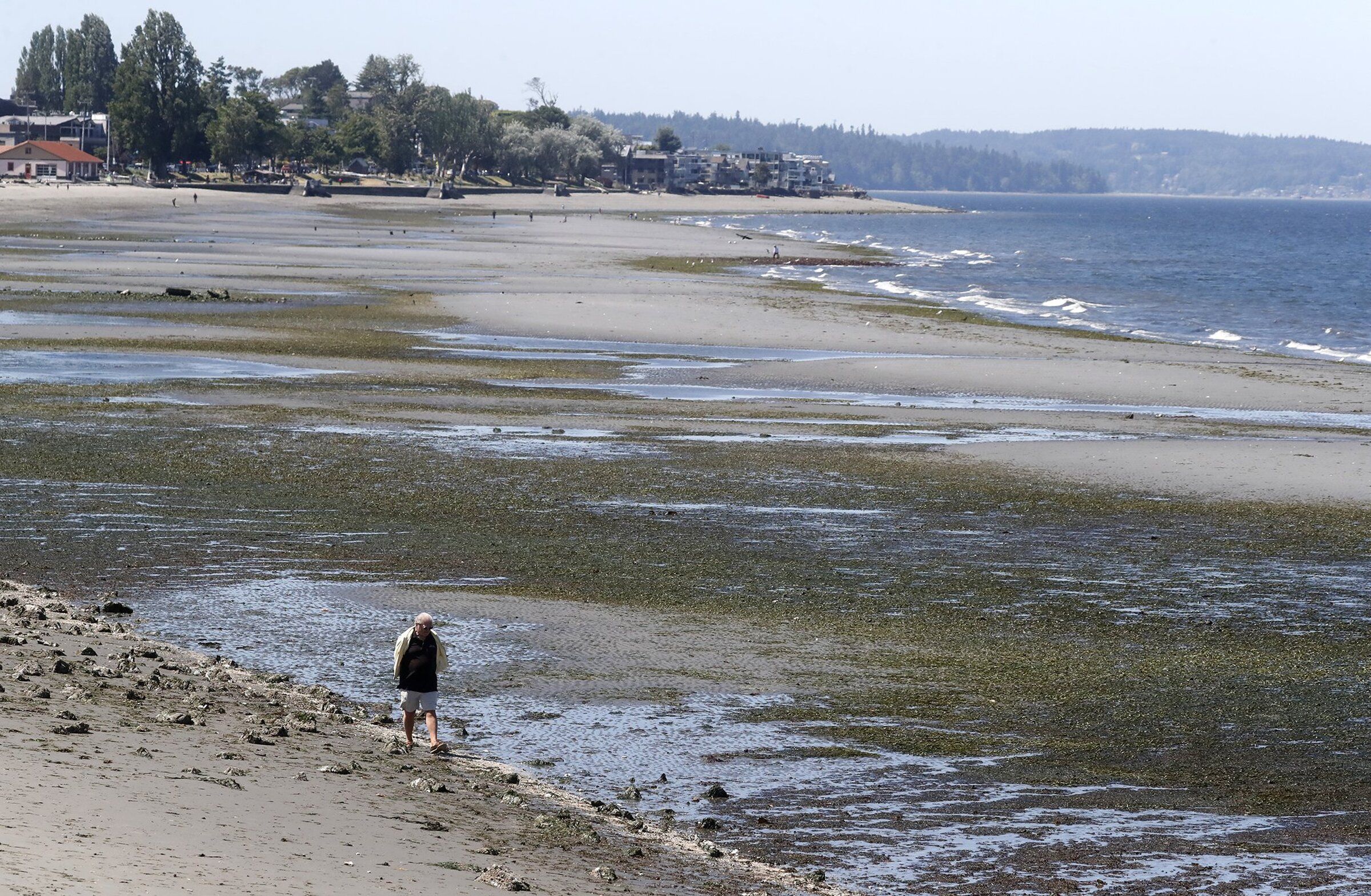 Alki Beach Low Tide: Discover Hidden Treasures of Seattle's Coastal Paradise