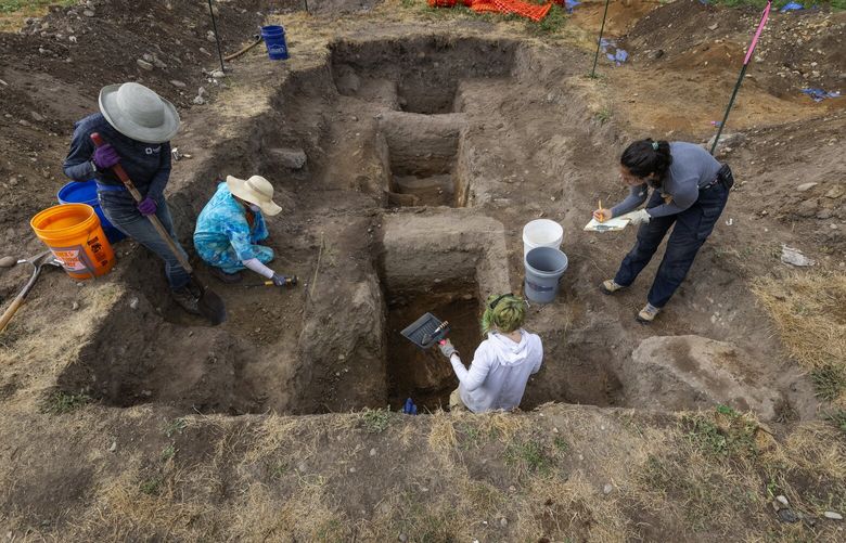 From left, students Emily Cuevas, Chris Dolinski, Harley Davidson and Linda McNulty Perez work on an archeological dig, Tuesday, July 25, 2023, near Northgate in Seattle, a joint effort by Edmonds College students in conjunction with North Seattle College. Artifacts recovered are from the former site of the Green Lake Gardens Company run by the Kumasaka family from the early 20th century until the 1940s. The site was an active home and farm for the family, and also housed a community center for Japanese residents until President Franklin Roosevelt signed Executive Order 9066, forcing Japanese Americans from the West Coast into incarceration camps.