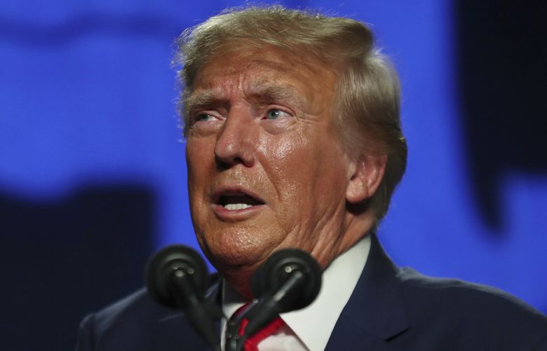 Former President Donald Trump speaks during the 56th annual Silver Elephant Gala in Columbia, S.C., Saturday, Aug. 5, 2023. (AP Photo/Artie Walker Jr.) SCAW143 SCAW143