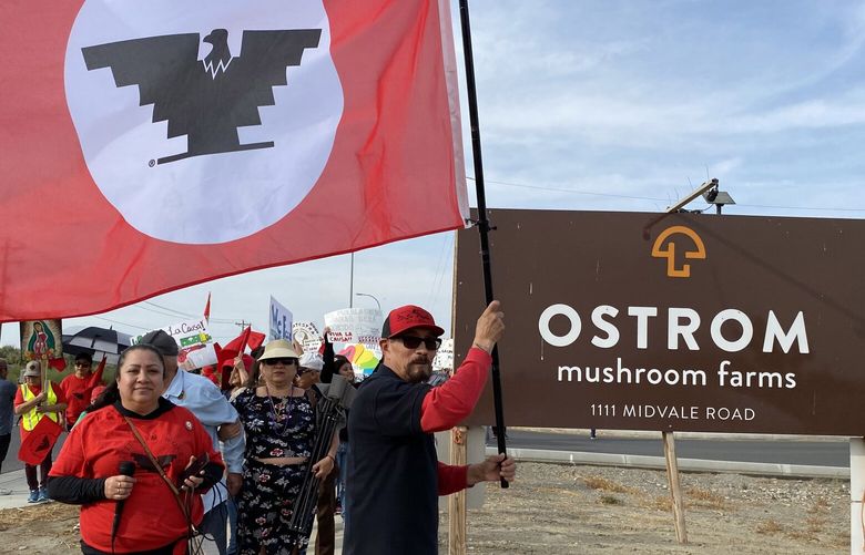 Ostrom Mushroom Farms workers march in Sunnyside on September 17th to for company to demand recognize union efforts and negotiate a contract.