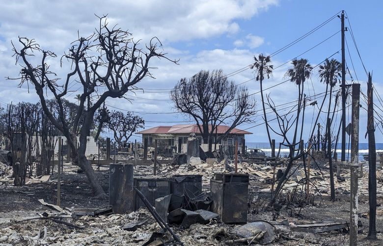 A neighborhood destroyed by wildfires in Lahaina, on the Hawaiian island of Maui, on Wednesday, Aug. 9, 2023. The fires, which had been largely contained as of Wednesday night, burned much of the historic town of Lahaina, which was once Hawaii’s royal capital. (Philip Cheung/The New York Times) XNYT0852 XNYT0852