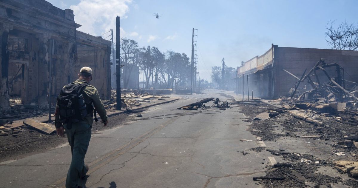 Hawaii says 30 Lahaina fire survivors are moving into housing daily but 3,000 are still in hotels
