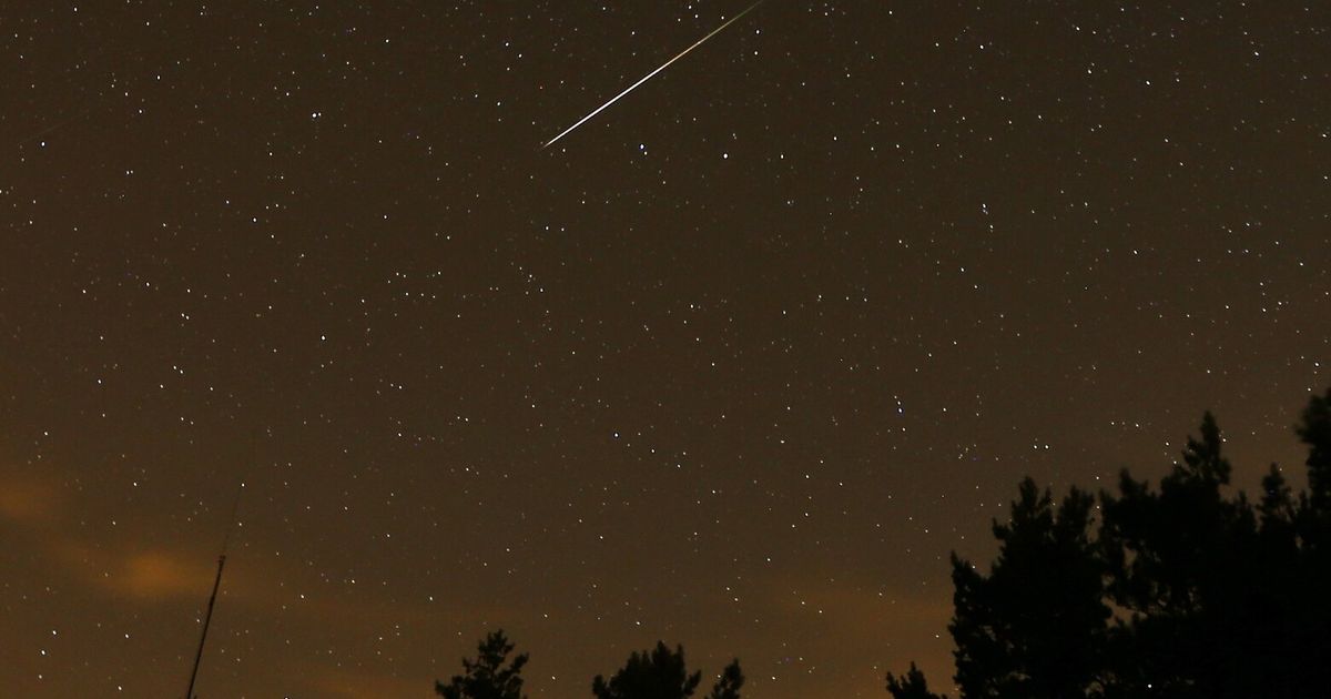 The Perseids meteor shower, one of the year’s best, is reaching its