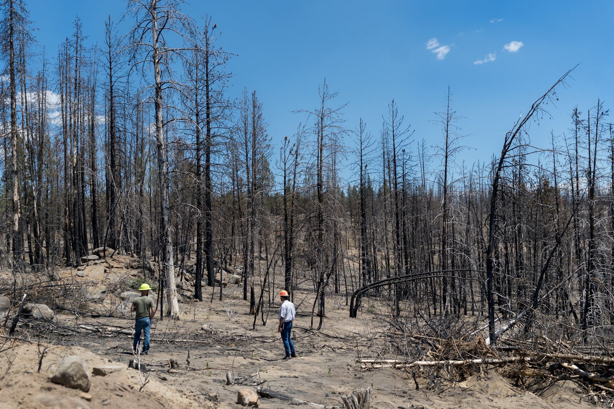 A giant Oregon fire shows the limits of carbon offsets in fighting