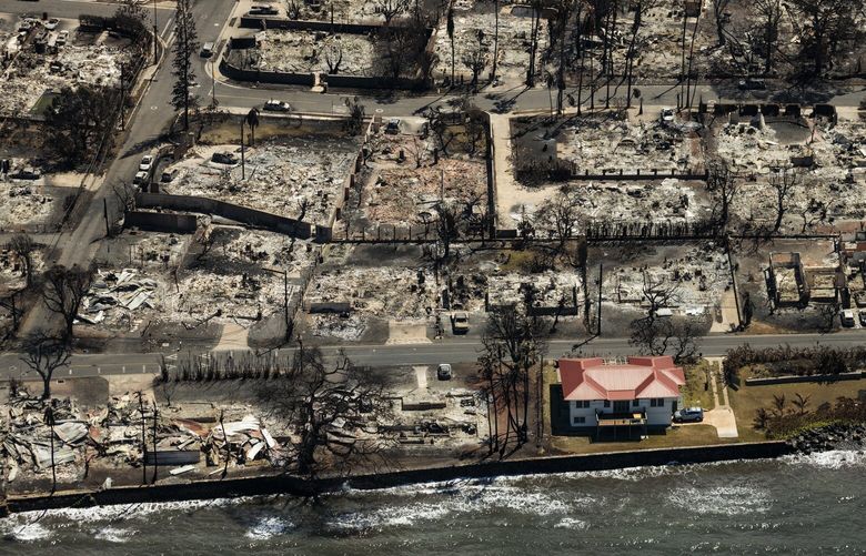 A home stands untouched by flames amid buildings burned by wildfire in Lahaina, Hawaii, on Friday, Aug. 11, 2023. Devastated parts of the historic town of Lahaina were reopened to residents, but officials imposed a curfew. The losses stand at 59 dead, with many on the island still unaccounted for.  (Max Whittaker/The New York Times)