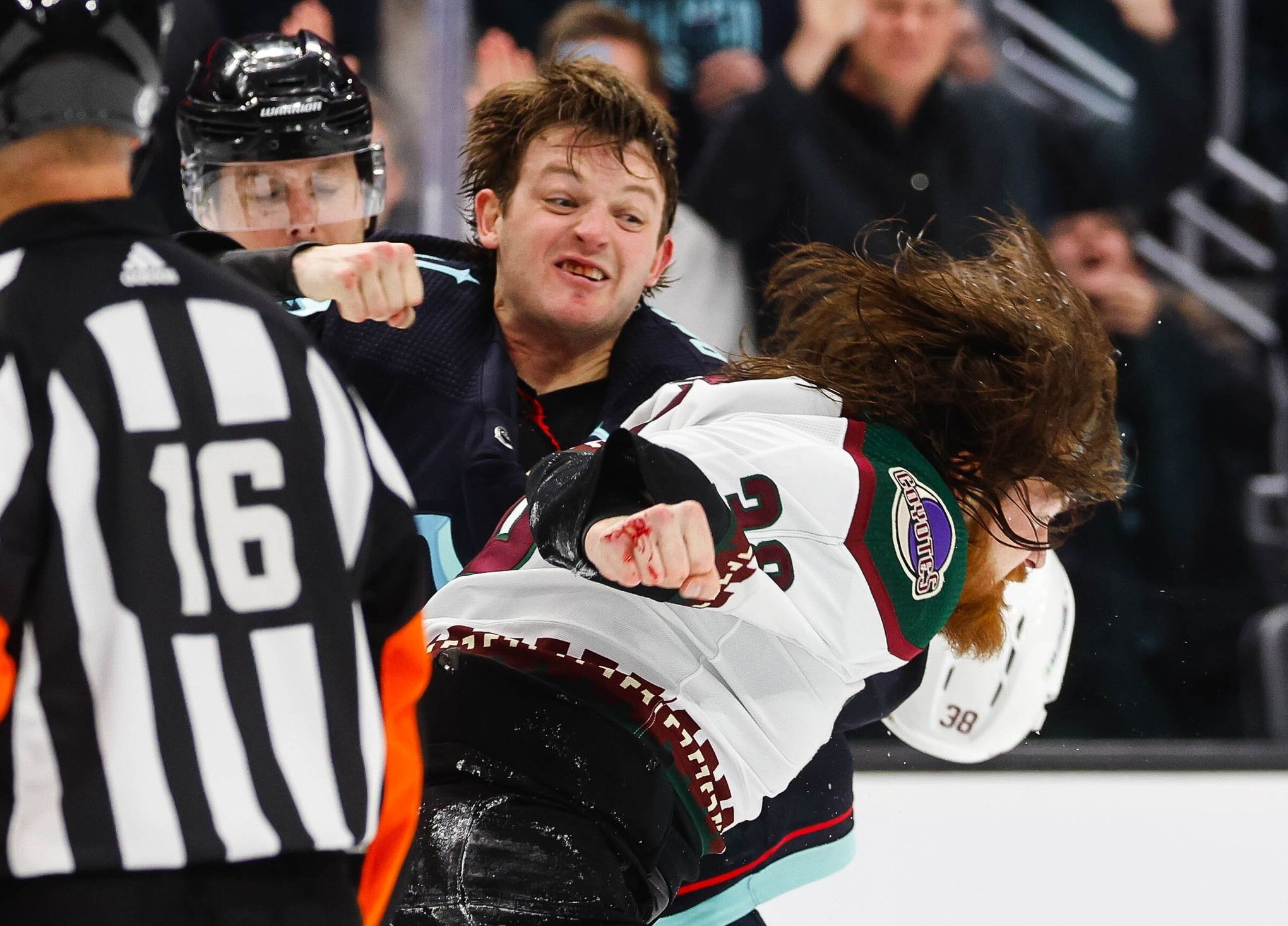 Hockey Fights