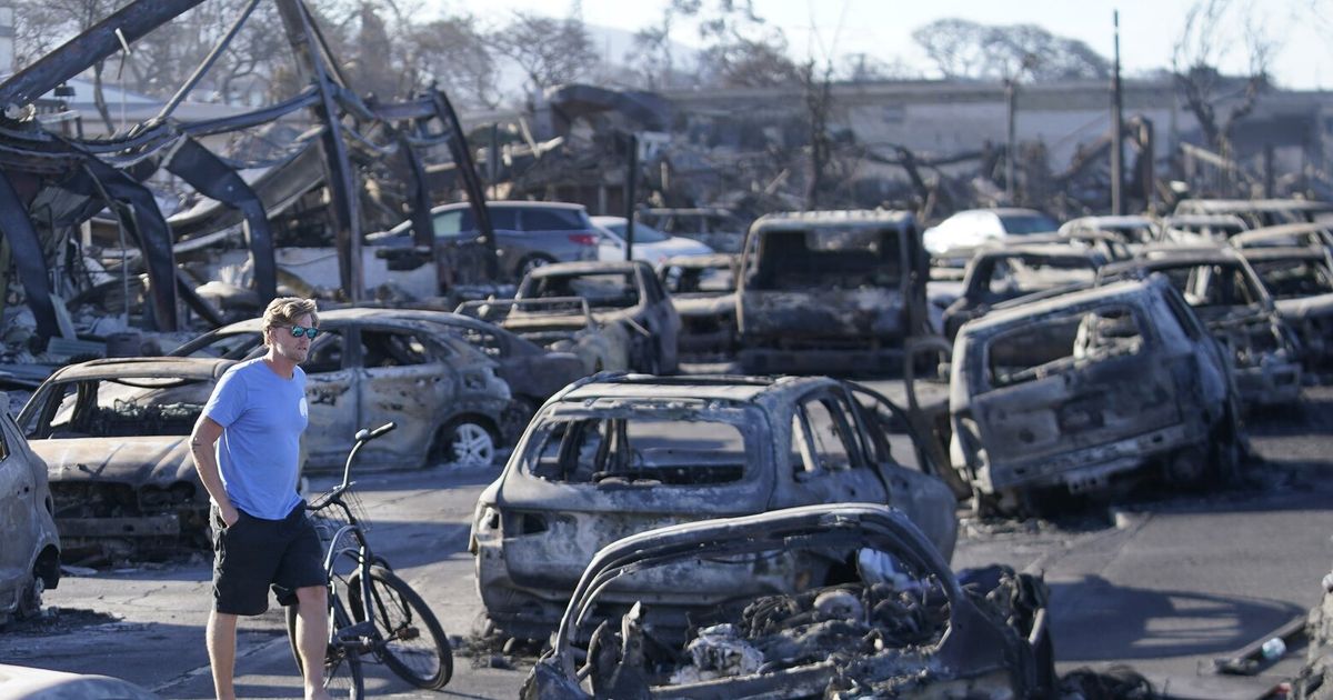 In the ruins of Lahaina, a surfing legend leads a volunteer army to get supplies to survivors