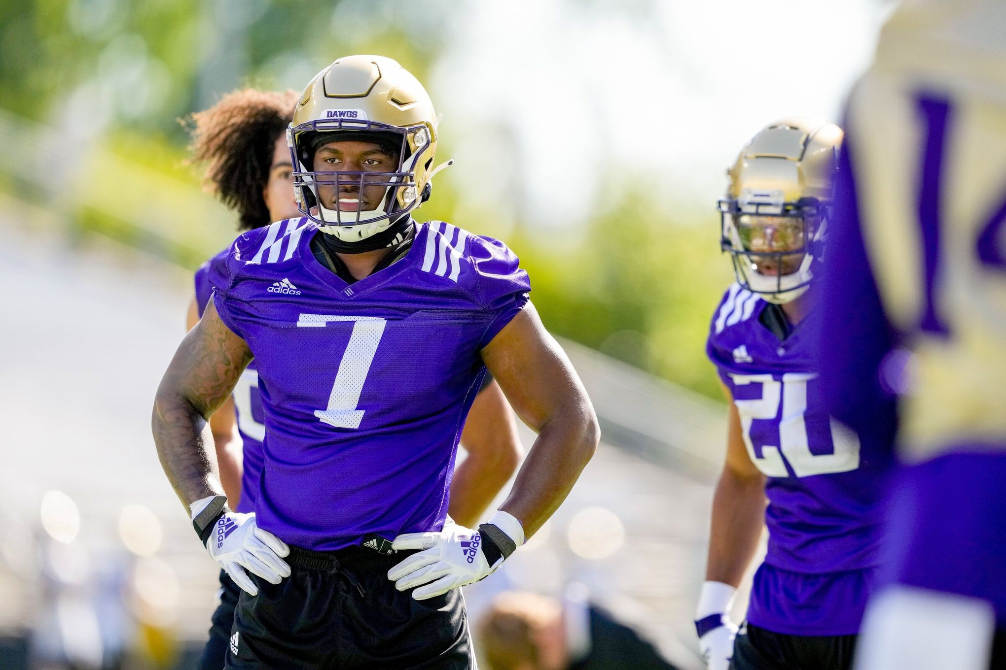 Dillon Johnson says UW has 'best offense in the country.' Soon enough,  he'll show you why. | The Seattle Times