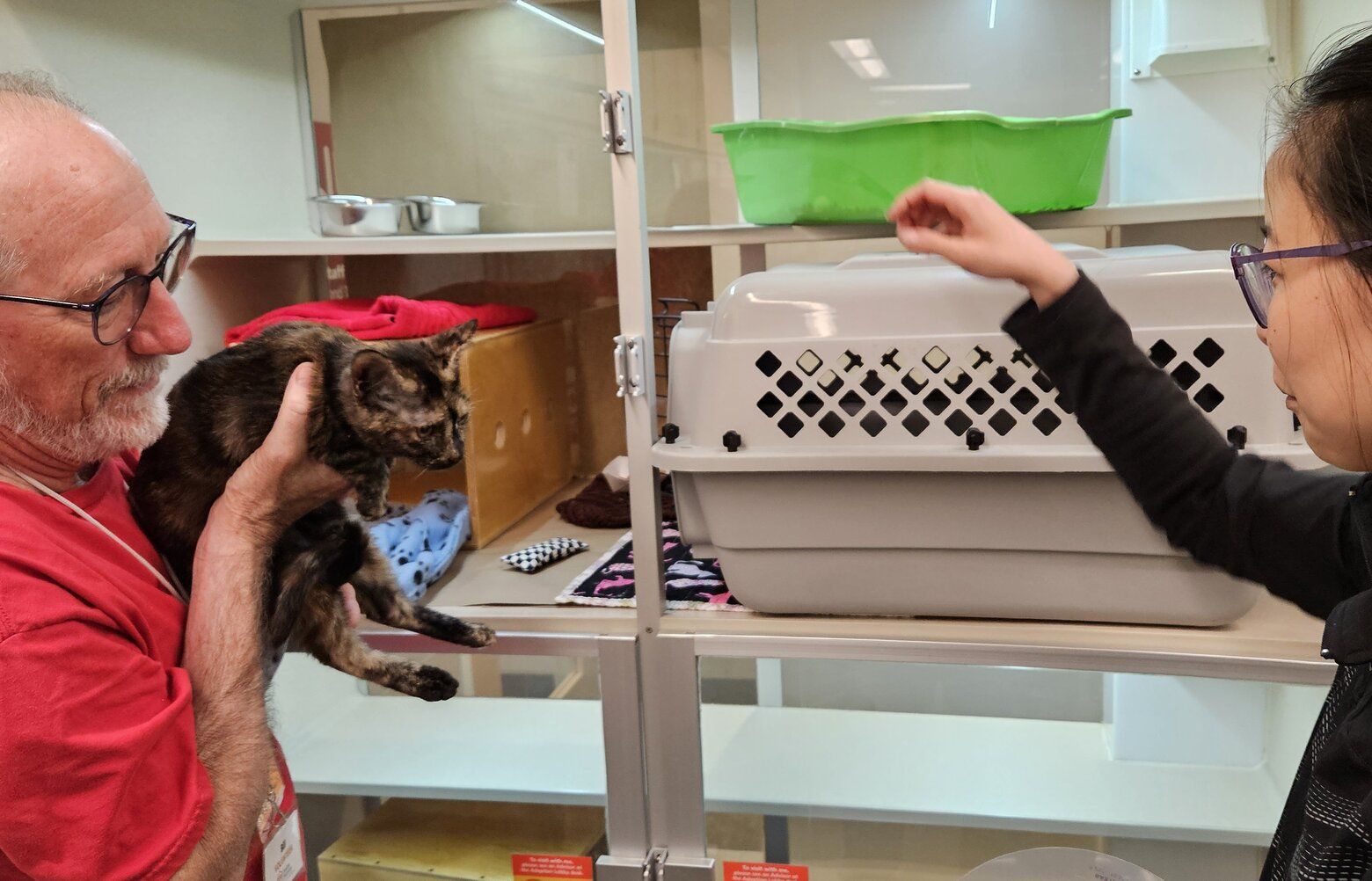 Cats flown from Maui quickly adopted in Seattle area