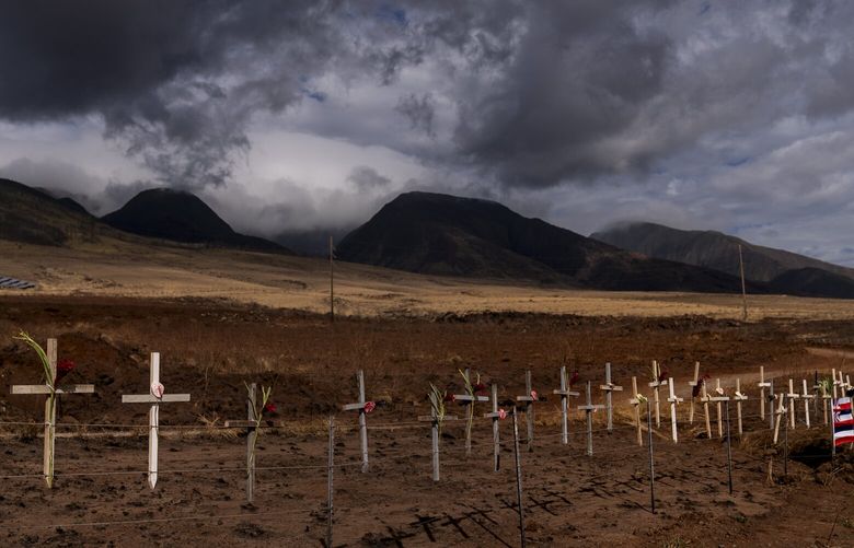 Crosses honoring victims killed in a recent wildfire are posted along the Lahaina Bypass in Lahaina, Hawaii, Monday, Aug. 21, 2023. The wildfires devastated parts of the Hawaiian island of Maui earlier in the month. (AP Photo/Jae C. Hong) HIJH111 HIJH111