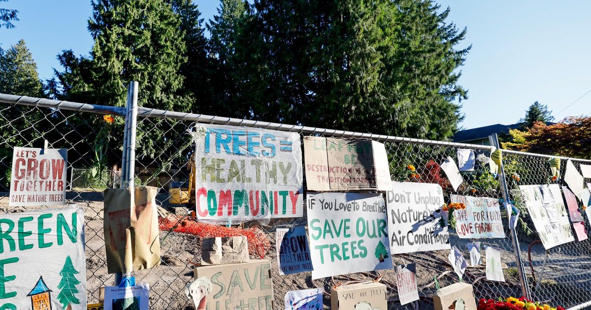 西雅图市议会的行动与救树的空谈不符