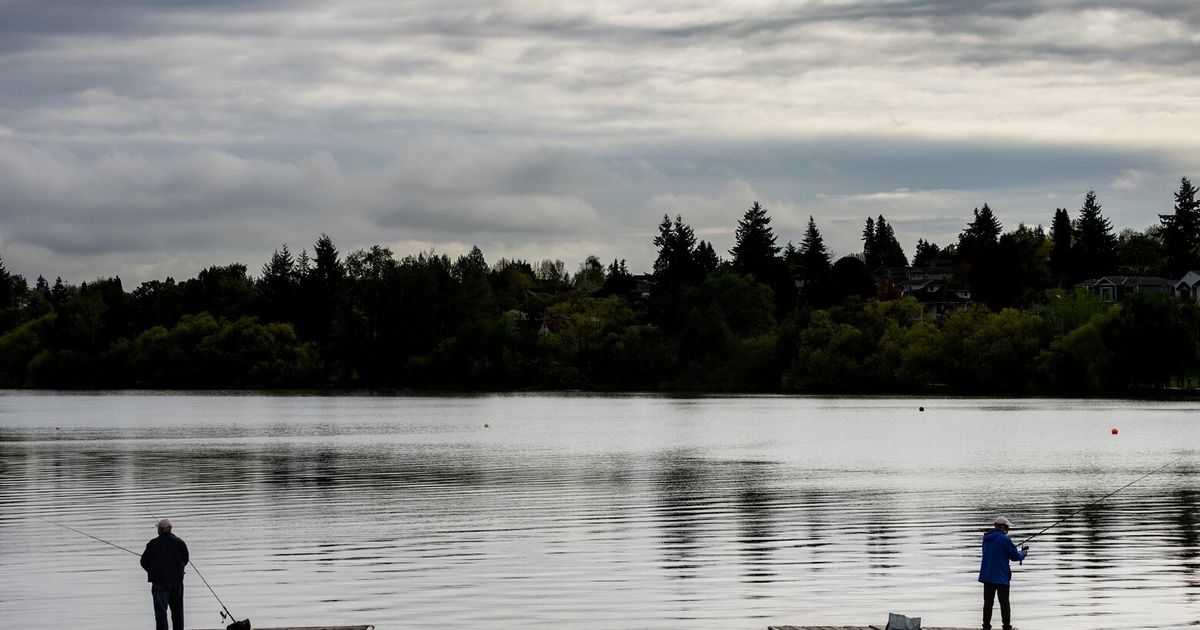 绿湖在西雅图地区热警之前重新向游泳者开放