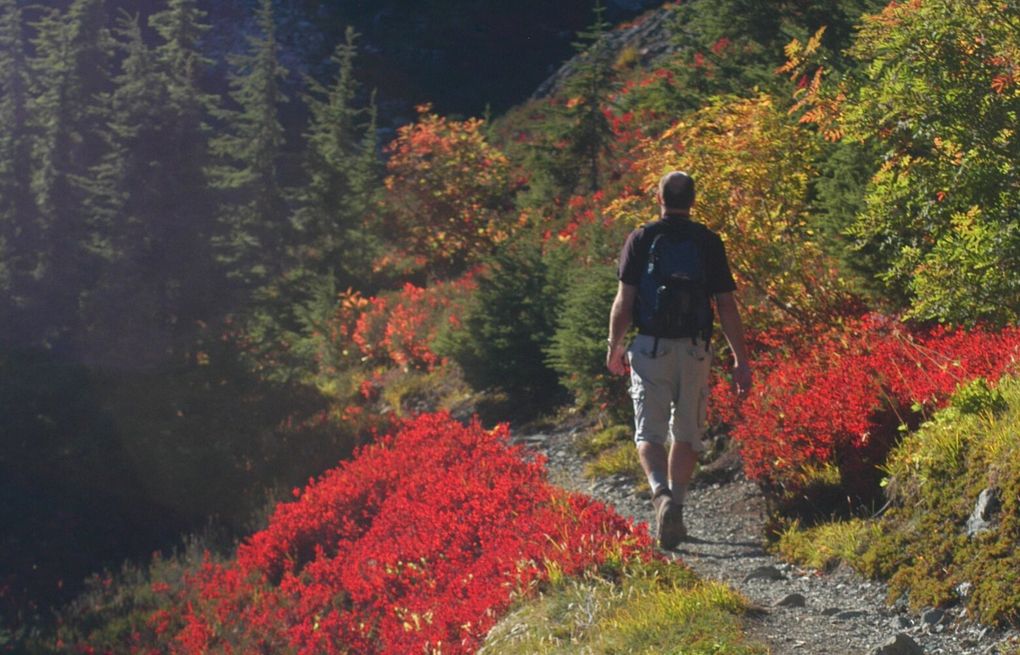 2023 Best Trails near Cascade de Magenta