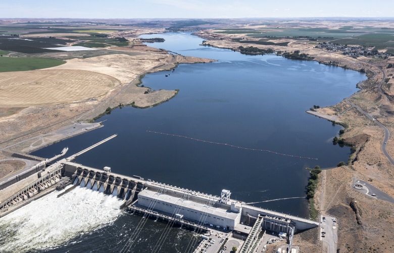 Tuesday, June 15, 2021.   The vast pooling above the Snake River’s  Ice Harbor Dam where farms get their water for irrigation.    217017