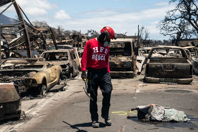 The New Yorker: Why Maui Burned