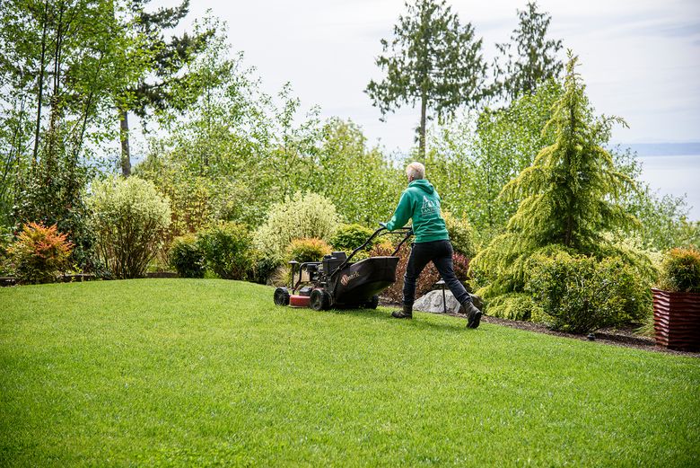 Home life during quarantine or self-isolation. A woman in her backyard mowing  grass with a