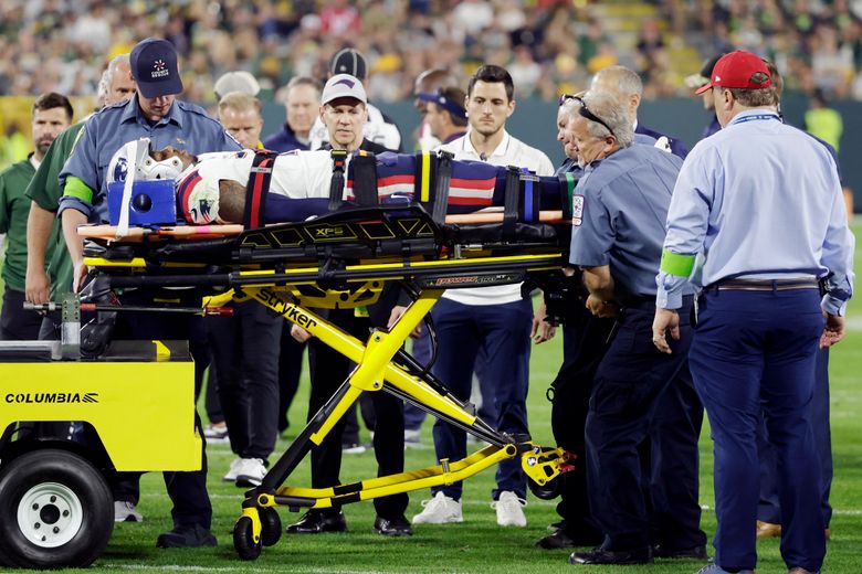 A Green Bay Packers fan on the field before an NFL game against