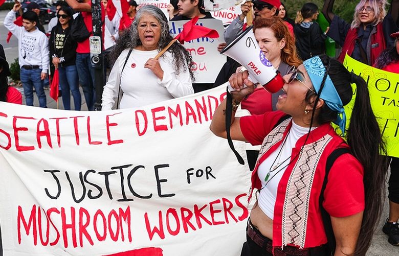 Several hundred people lined Mercer Street from the Seattle Center to South Lake Union in an effort to draw attention to Windmill Farms unwillingness to recognize farmworkers who want to unionize.   At center in white is United Farmworkers President Teresa Romero. 224867