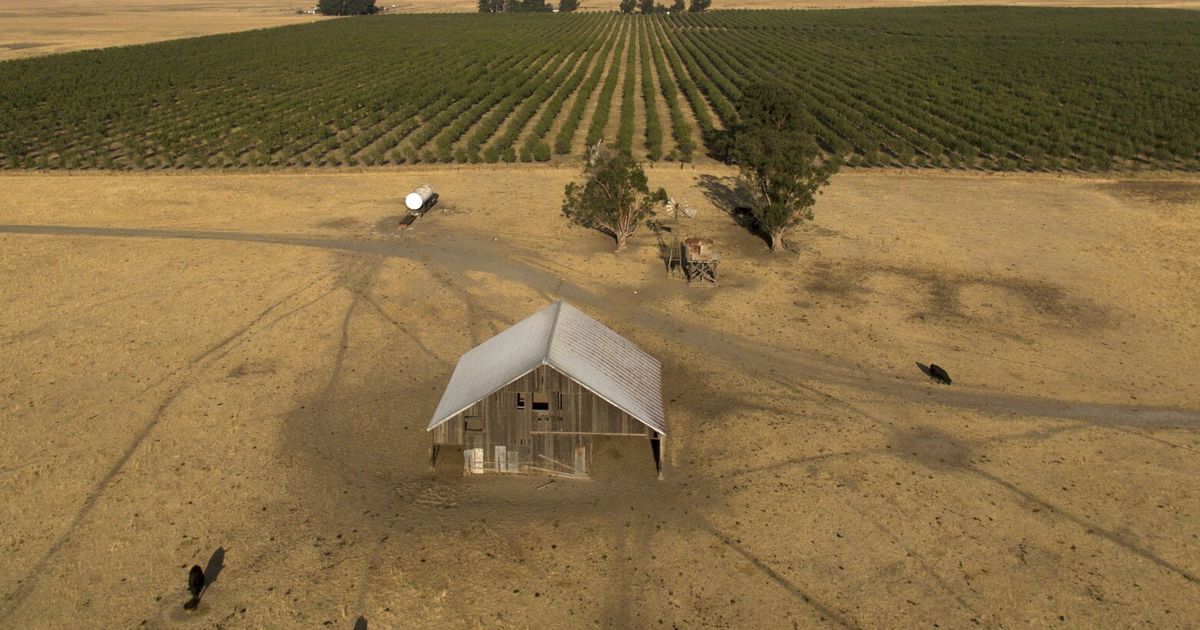 Billionaires want to build a new city in rural California. They must convince voters first Billionaires want to build a new city in rural California. They must convince voters first