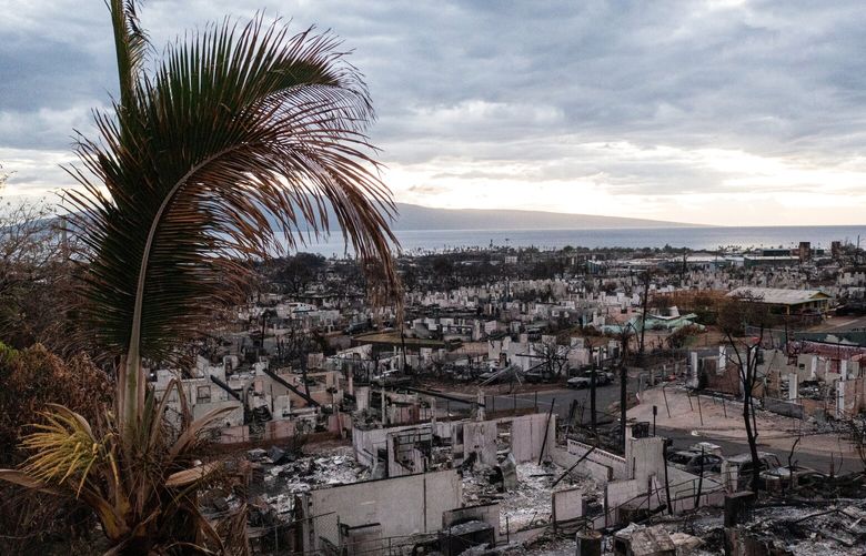 Burned homes and vehicles in a neighborhood that was destroyed by the wildfire in Lahaina, Hawaii, last month. MUST CREDIT: Photo for The Washington Post by Tamir Kalifa