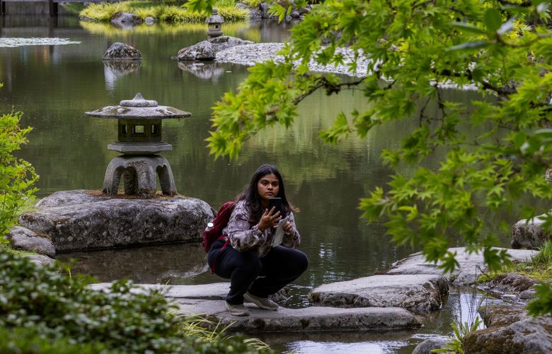 Shivani Edukulla, 22, who lives in India, visits Seattle for the first time and explores the Seattle Japanese Garden during the last weeks of summer, Sunday, Sept. 3, 2023. Edukulla is in town to visit her sister who lives here, and see the sights.