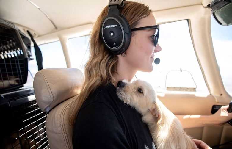 Pilot Petra Janney, co-founder of Amelia Air, cuddles one of the 17 dogs sheâ€™s flying from Bakersfield, California, where they faced death in an overcrowded shelter, to a rescue organization in Los Angeles devoted to finding them homes. (Mariah Tauger/Los Angeles Times/TNS) 89215183W