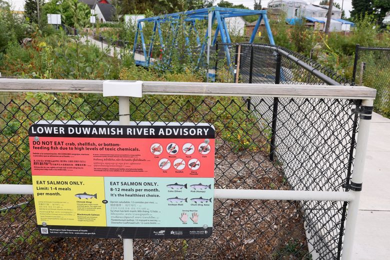 A public health warning about eating fish from the Duwamish is posted at Duwamish River People&#8217;s Park in Seattle&#8217;s South Park neighborhood.  (Kevin Clark / The Seattle Times)