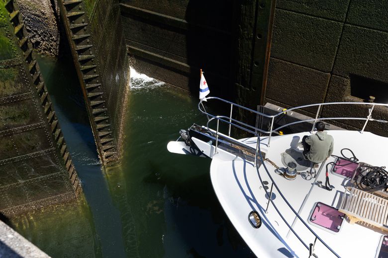 The gleaming bow of the Perseverance, a recreational boat, faces the gritty miter gates of the small lock as it heads out toward Puget Sound at the Ballard Locks. Constructed in 1914, the miter gates allow vessel navigation between the lower-elevation Puget Sound and the higher-elevation waters of the Ship Canal. Miter gates are made of steel, and have air chambers internally that give the gates buoyancy. (Karen Ducey / The Seattle Times)
