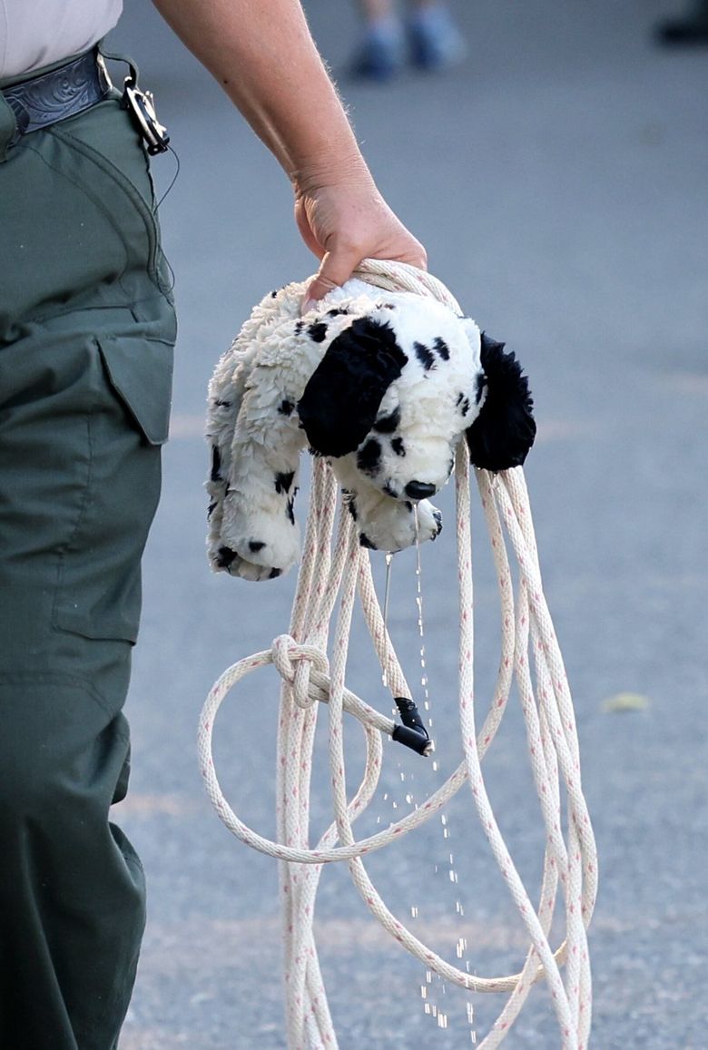 A water-logged stuffed dog is held by park ranger Tasha “Tish” Cameron after she and lock and dam operator Gunnar Mavik rescued it  from the bay of the Ballard Locks. A young boy had dropped it over the railing earlier in the day. (Karen Ducey / The Seattle Times)