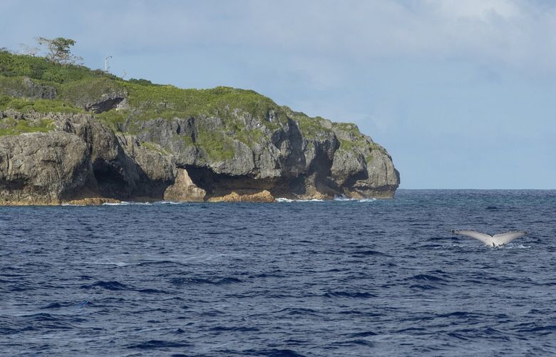 A tail of a humpback whale breaks the water in Niue in this 2018 photo. The tiny Pacific island nation of Niue has come up with a novel plan to protect its vast and pristine territorial waters — it will get sponsors to pay. Under the plan, which was being launched by Niue’s Prime Minister Dalton Tagelagi on Tuesday Sept. 19, 2023 in New York, individuals or companies can pay $148 to protect 1 square kilometer (about 250 acres) of ocean from threats such as illegal fishing and plastic waste for a period of 20 years. (Richard Sidey/Galaxiid via AP) NIU101 NIU101