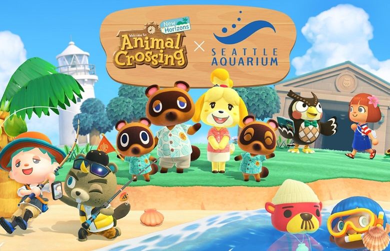 Nintendo is partnering with the Seattle Aquarium to bring an immersive Animal Crossing experience to visitors this Fall. Characters from Animal Crossing: New Horizons, an island-themed Nintendo Switch game, will be popping up throughout the museum on Oct. 7.